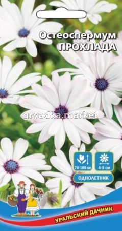 Редис Сакса РС 4г Ср (НК) 200%