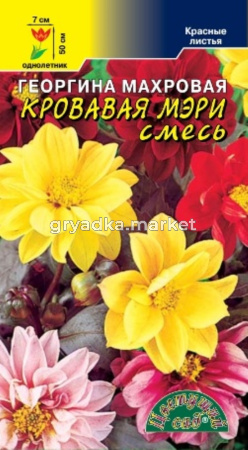 Георгина Кровавая Мэри махровая 0.2г (Цвет сад)