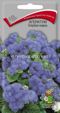 Агератум Голубая норка 0,1г. Поиск
