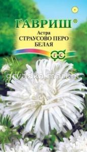 Астра Страусово перо белая 0,3г Одн 50см (Гавриш)