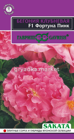 Бегония Фортуна Пинк F1 клубневая махровая Комн 4шт (Гавриш) Эксклюзив