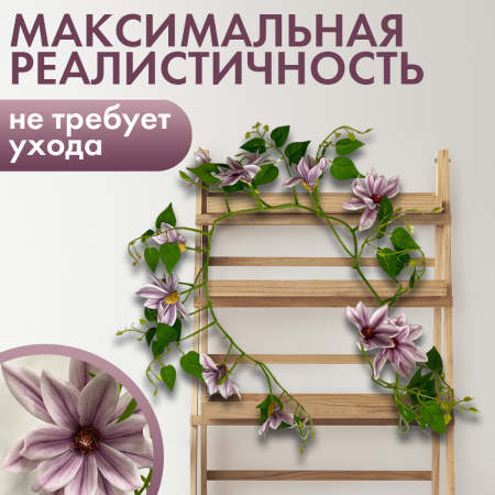 клематисфи3 клематисфи3