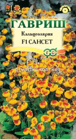 Кальцеолярия Сансет F1 5шт Саката (Гавриш) Эксклюзив