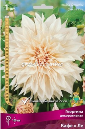 Георгина Кафе о Ле 1шт.