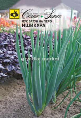 Лук батун Ишикура на перо 1г Ранн (Семко)