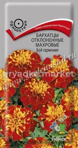 Бархатцы отклоненные махровые (Тагетес отклонённый) Бой гармония ( ЦВ) (