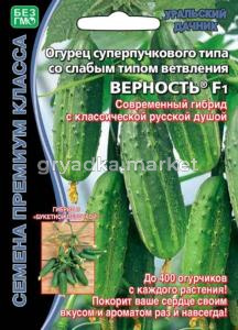 Огурец Верность F1 (УД) ЧСС -до 400 огурч.!суперпучков.,корнишон.,8-10см.-