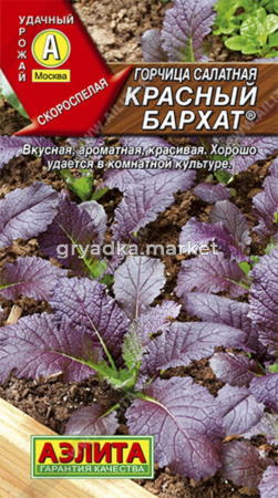 Горчица Красный бархат салатная (Аэлита)