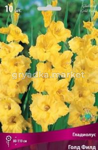 Гладиолус Голд Филд 10шт 10-12
