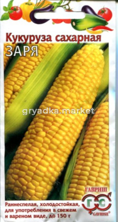 Кукуруза Заря 5,0г (раннеспелая) Гавриш