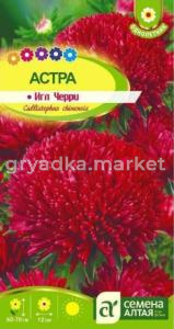 Астра Черри Игл 0,2 г Одн 70см (Сем Алт)