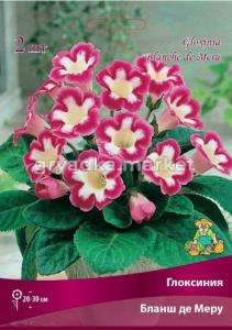 Глоксиния Бланш де Меру 2шт 4-5