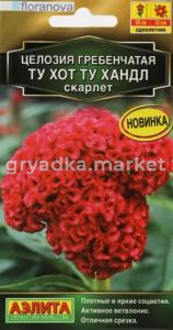Целозия Ту хот ту хандл скарлет гребенчатая 5шт Одн 50см (Аэлита)