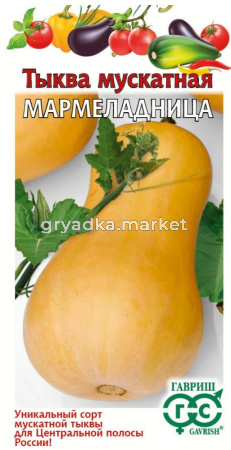 Тыква Мармеладница Н22 2г Ср (Гавриш)