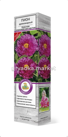 Пион древовидный Красная королевская мантия