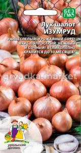 Лук шалот Изумруд 0,1г Ранн (УД) 
