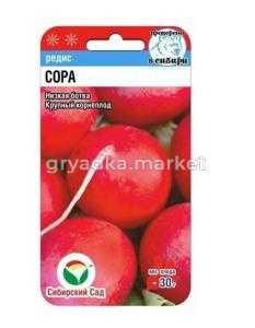 Редис Сора F1 0,5гр  (Сиб Сад)