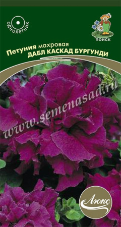 Петуния Дабл каскад Бургунди,махр 10шт.Поиск