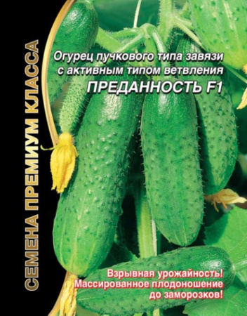 Огурец Преданность F1 (УД) ЧСС