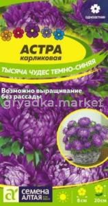 Астра Тысяча чудес карликовая Темно-синяя 0,15г Одн 20см (Сем Алт)