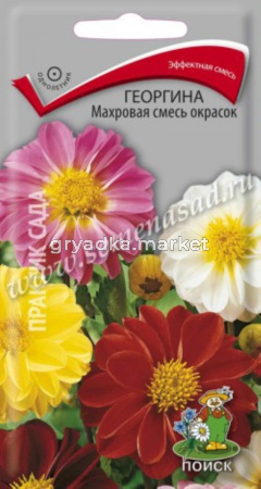 Георгина Махровая смесь окрасок (ЦВ) (