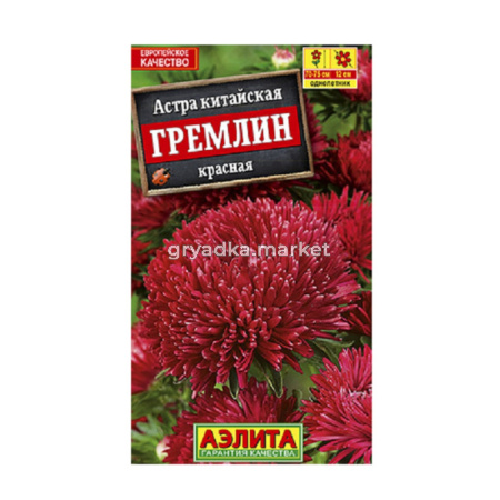 Астра Гремлин красная Аэлита