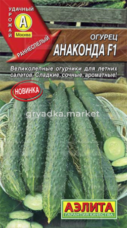 Огурец китайский Анаконда F1 Аэлита