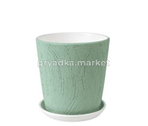 Короед 3 горшок с поддоном 1,5л d15 h15,5см конус зеленый