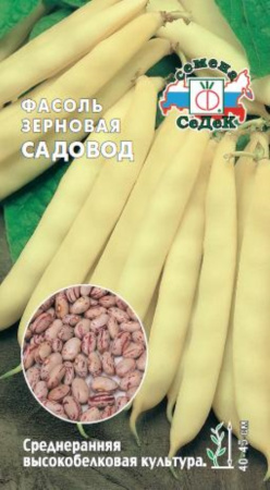 Фасоль Садовод -средн,куст- (Седек)