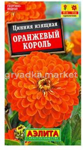 Цинния Оранжевый Король (Аэлита)