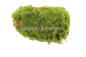 Замшелый камень ЕА2086