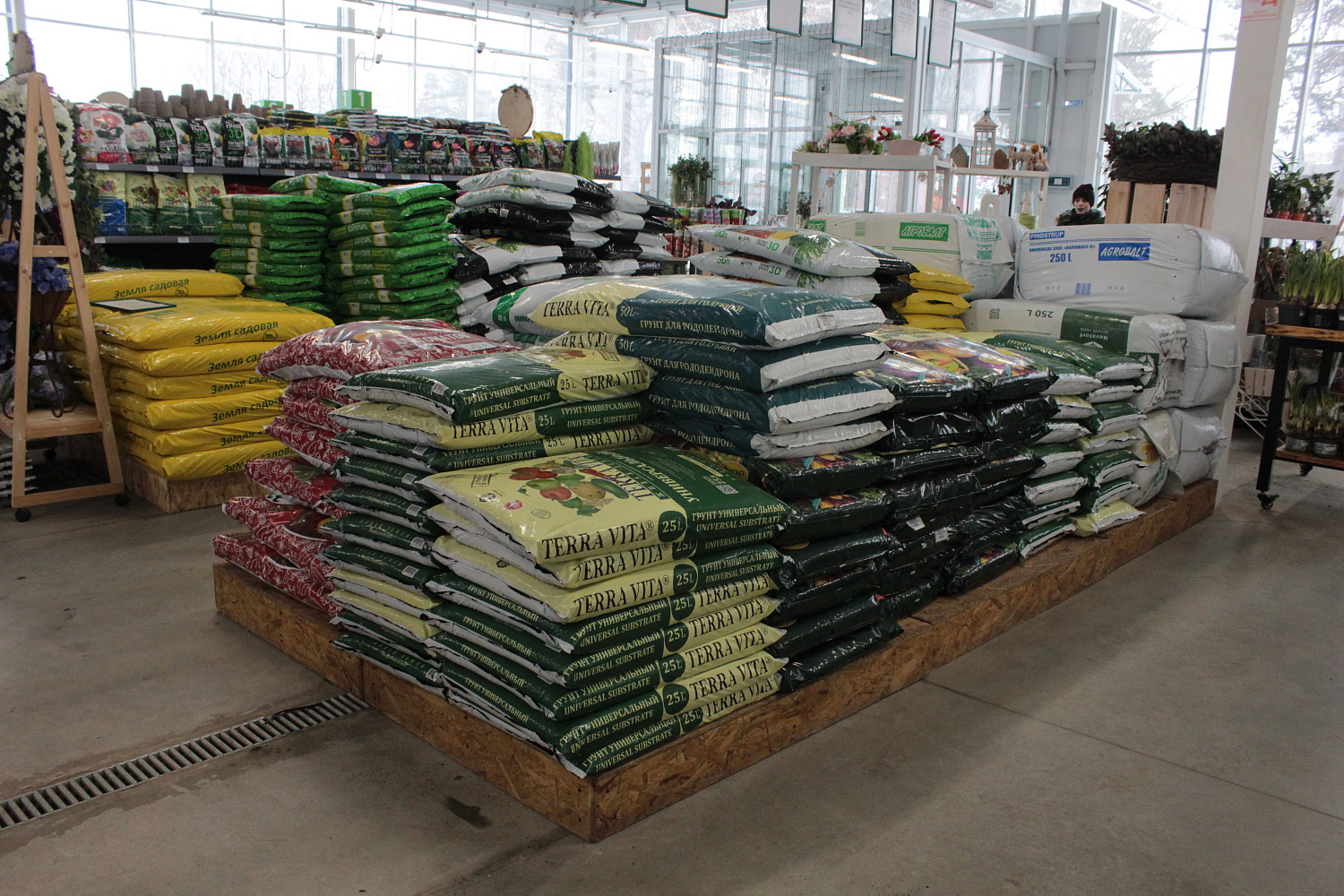 Как ухаживать за рассадой? Всего 8 пунктов, но чрезвычайно важных.