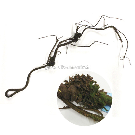 Искусственные цветы коряга h100см 