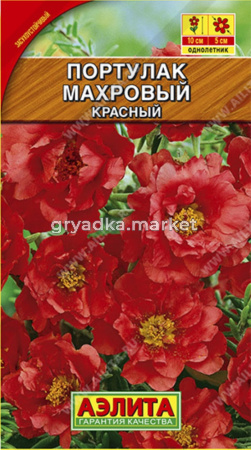 Портулак Красный махровый Аэл.
