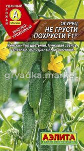 Огурец Не грусти похрусти F1 10шт Пч Ранн (Аэлита)