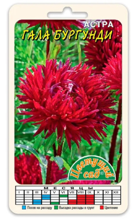 Скриншот 19-01-2024 083728