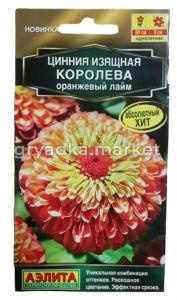 Цинния Королева оранжевый лайм 5шт Одн 60см (Аэлита)