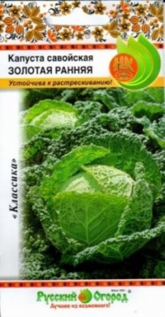 Капуста савойская Золотая Ранняя НК Капуста савойская Золотая Ранняя НК