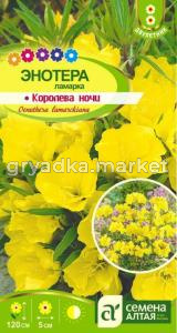 Энотера Ламарка Королева ночи-Сем Алт-цп 0,3 г. двулетник