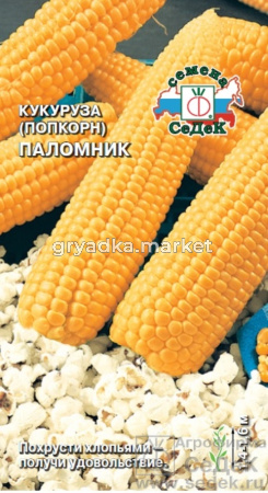 Кукуруза Паломник (поп-корн) (Седек)