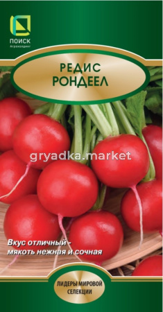 Редис Рондеел 2г (Поиск)