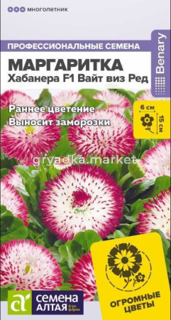 Маргаритка Хабанера F1 Вайт виз Ред 5шт (Сем Алт)