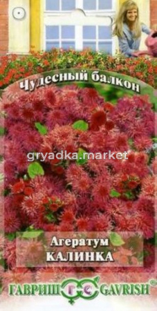 Агератум Калинках 0,1 г (Гавриш) Чудесный балкон
