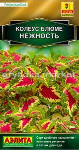 Колеус Блюме Нежность 5шт Одн 35см (Аэлита)