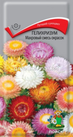 Гелихризум Махровый смесь окрасок 0,25г. Поиск