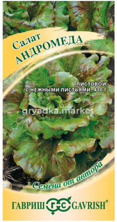 Салат Андромеда кудрявый листовой 0,5г Ср (Гавриш) автор