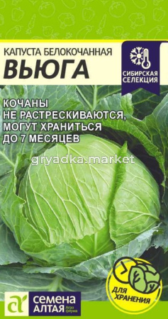 Капуста б-к Вьюга 0,3г Ср (Сем Алт) Сибирская Селекция