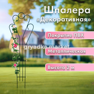 02-copy-0
