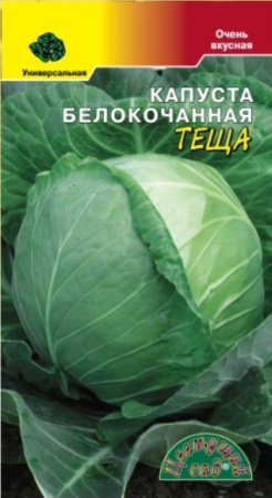 Капуста б-к Теща Цвет.сад.