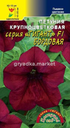 Петуния Гигант бордовая крупн. Цвет.сад